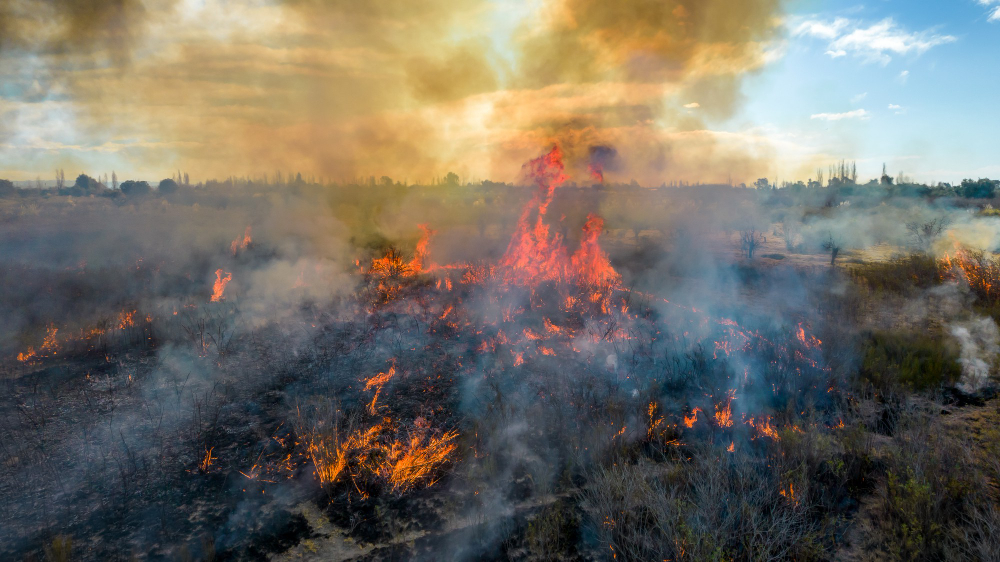aerial-view-forest-fire